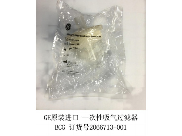 GE原裝進(jìn)口一次性吸氣過濾器2066713-001
