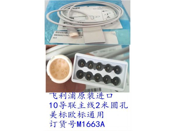飛利浦原裝10導(dǎo)聯(lián)主線2米圓孔雙排美標(biāo)歐標(biāo)通用M1663A