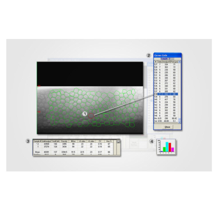 美國(guó)HAI EB-3000xyz眼庫(kù)型角膜內(nèi)皮細(xì)胞顯微鏡