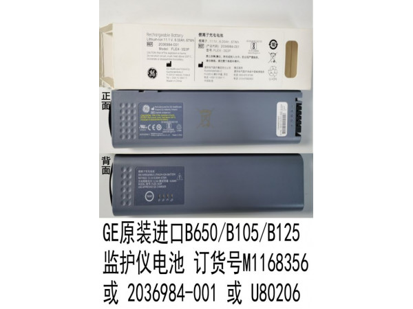 GE原裝B650/B105監(jiān)護(hù)儀電池2036984-001