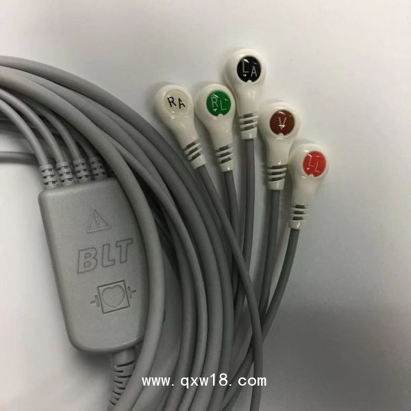 寶萊特BLT原裝一體心電導(dǎo)聯(lián)線五美扣15-031-0004