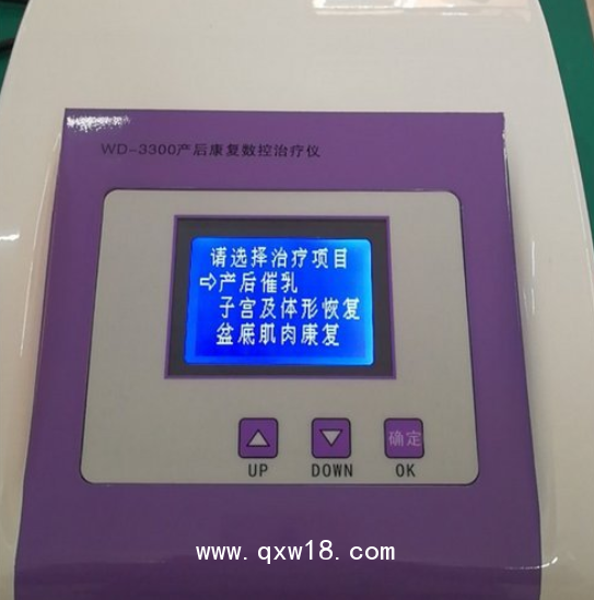 萬(wàn)地 產(chǎn)后康復(fù)數(shù)控治療儀 WD-3300