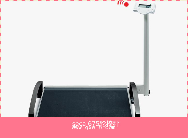 醫(yī)用輪椅秤seca 665