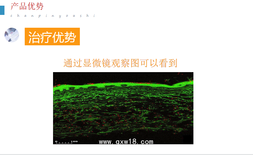 超聲電導(dǎo)透藥儀  超聲電導(dǎo)透藥儀