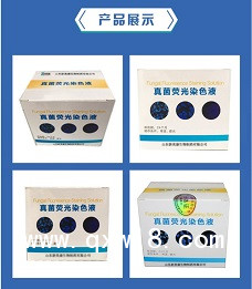 真菌免疫熒光試劑雙重?zé)晒饷庖唢@色試劑免疫顯色試劑