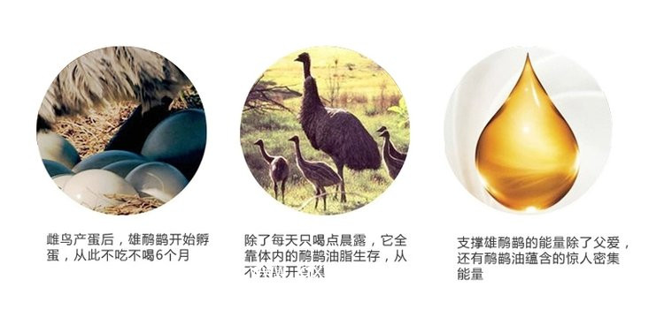 鴯鹋油產(chǎn)品定制定做醫(yī)院診所中標(biāo)掛網(wǎng)企業(yè)合作ODM