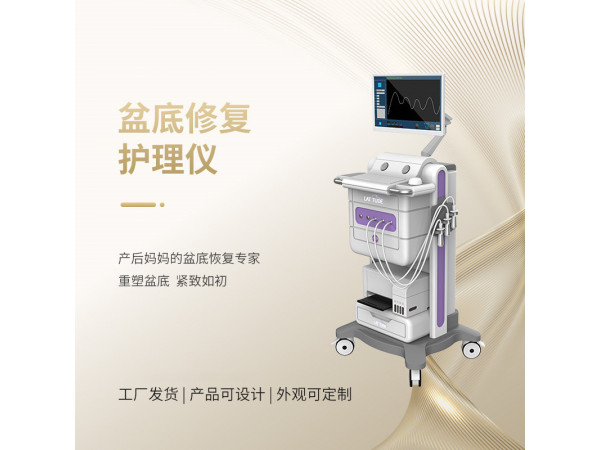 盆底肌儀器  盆底肌產(chǎn)后修復(fù)儀  盆底肌修復(fù)儀