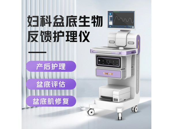 婦科盆底肌治療儀 婦科盆底康復(fù)儀 婦科盆底修復(fù)儀