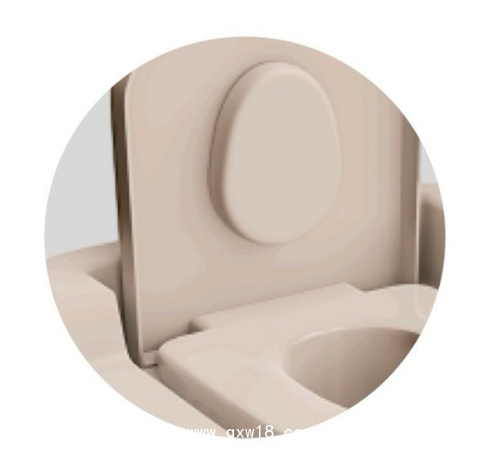 大力神超聲霧化熏洗儀DC-100