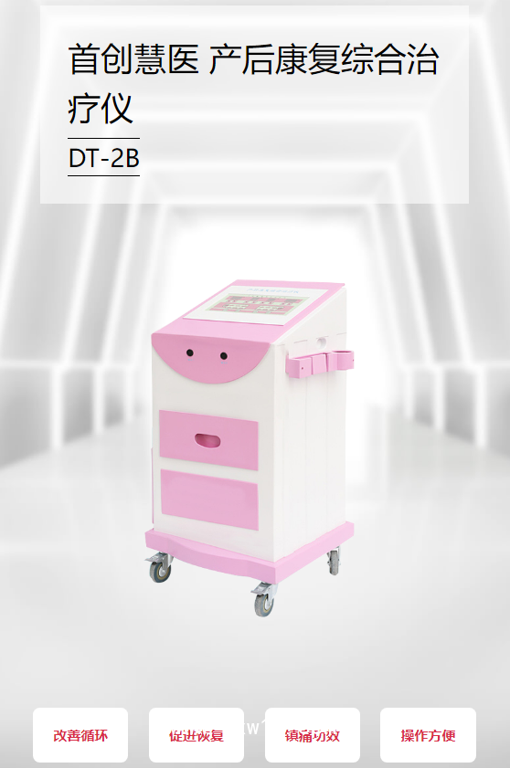 首創(chuàng)慧醫(yī) 產(chǎn)后康復(fù)綜合治療儀 DT-2B