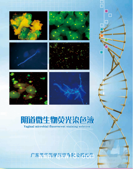 真菌D葡聚糖檢測免疫熒光染色試劑