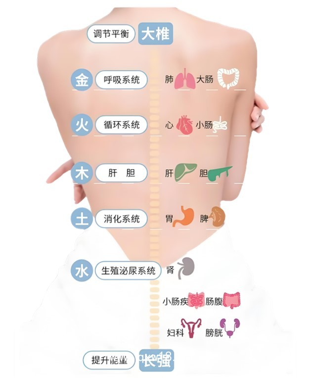智能AI動力溫控經(jīng)皮治療系統(tǒng)