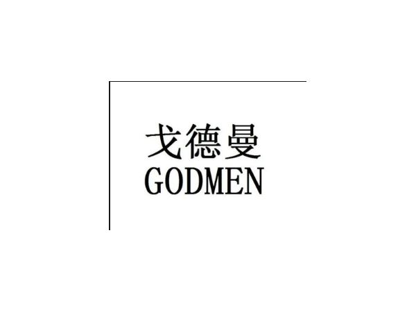 戈德曼 冠狀動脈棘突球囊導(dǎo)管NS27513 血管介入耗材