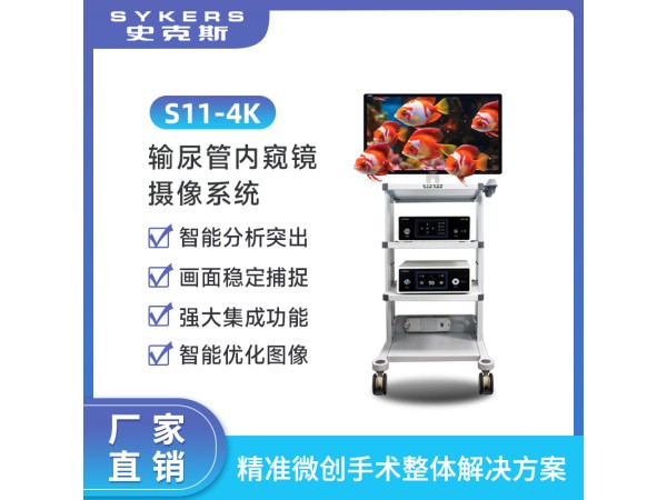SYKERS 史克斯內(nèi)窺鏡攝像系統(tǒng) 4K攝像系統(tǒng) 輸尿管內(nèi)窺鏡 監(jiān)視器 冷光源 攝像主機 臺車