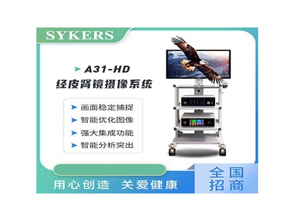 SYKERS 史克斯內(nèi)窺鏡 高清腹腔鏡攝像系統(tǒng) 60L氣腹機 氣腹機