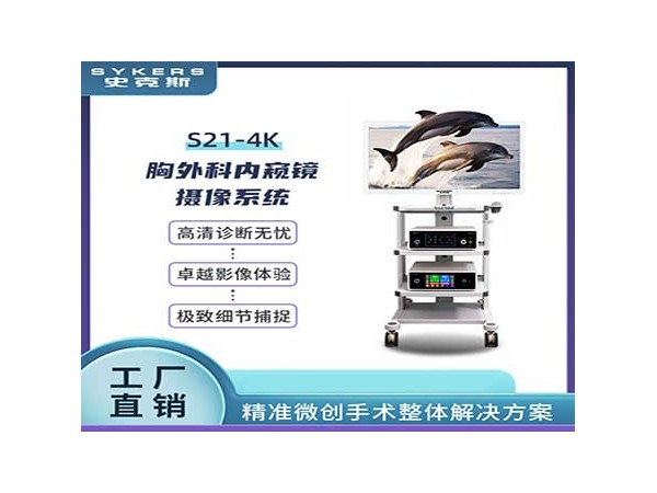 SYKERS 史克斯內(nèi)窺鏡 4K關(guān)節(jié)鏡攝像系統(tǒng) 關(guān)節(jié)動力刨削系統(tǒng)