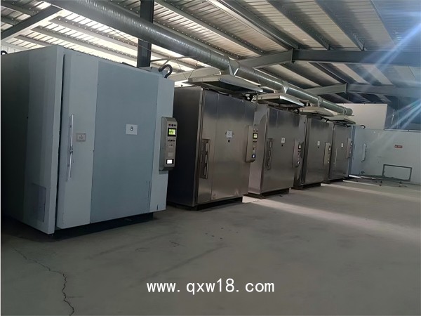 大型環(huán)氧乙烷滅菌器