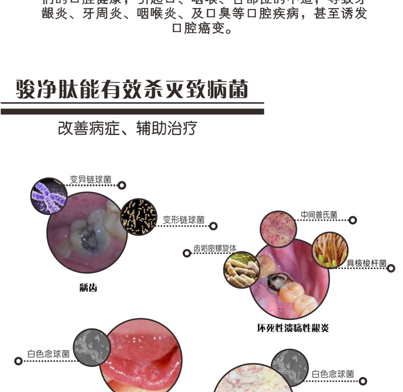 1504595647379132.jpg 駿凈肽10ml_04.jpg