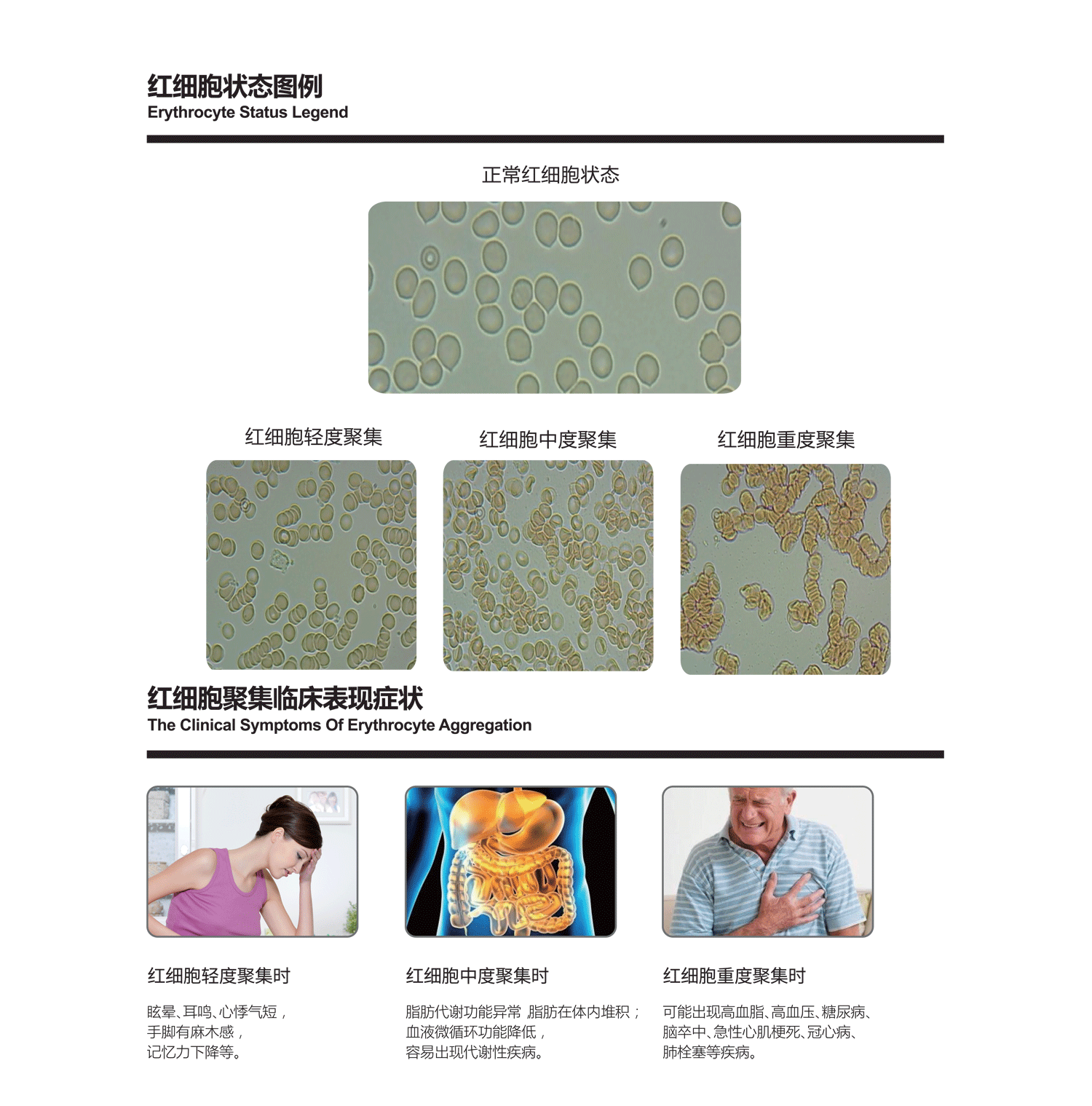 1515656156900130.png 1515656156900130.png