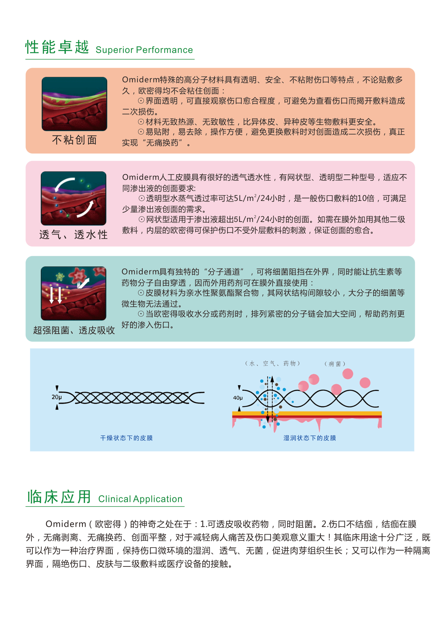 1572507575572917.jpg 皮膜2_編輯.jpg