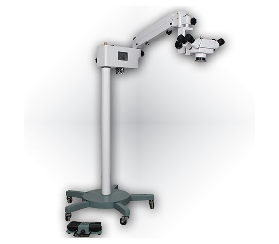 1577090887425853.jpg 433.jpg