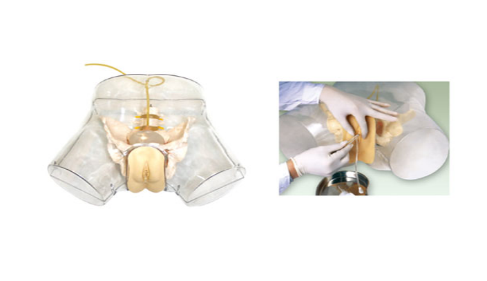 1579139807234192.png 74.png