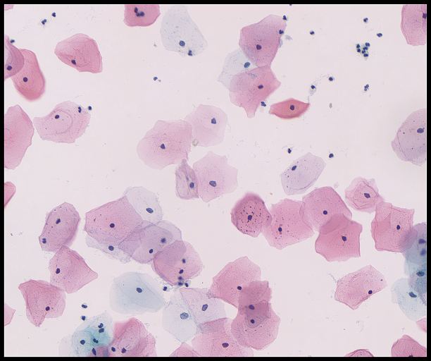 1603864919733964.png 3282_dst2.png