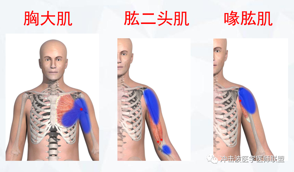 1609206837281210.png 微信圖片_20201229094810.png