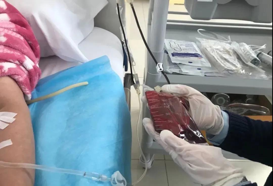 1615602135340818.jpg 微信圖片_20210313094847.jpg