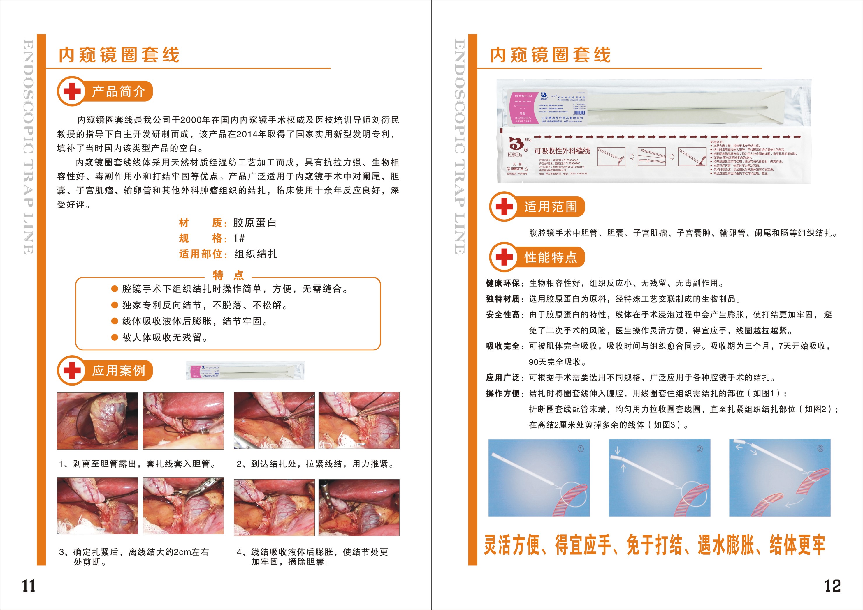 1617586213436949.jpg 11. 12..jpg