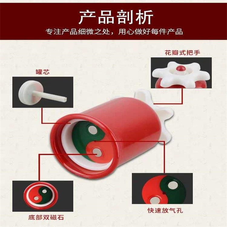 雙磁石.jpg