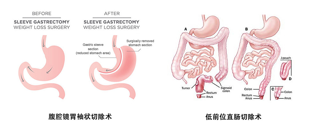 8221621926979478.jpg 7.jpg