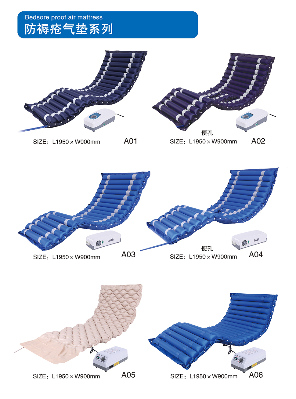 1639365810798329.jpg 圖片6.jpg