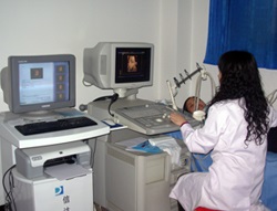 1665284095681924.jpg 26.jpg