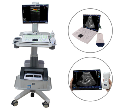 1670484485737923.jpg 1-22111916441RV.jpg