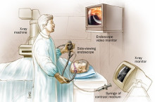 1672283522647547.jpg 1672283522647547.jpg