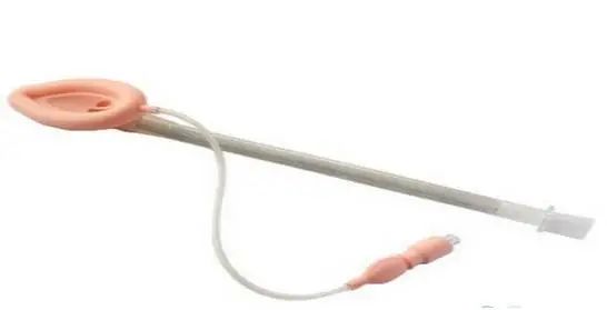 1675653147723029.jpg 28.jpg