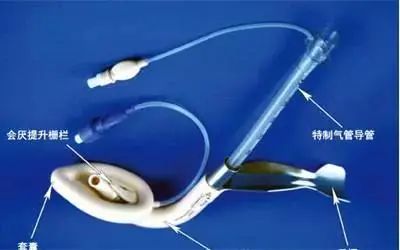 1675653167973539.jpg 29.jpg