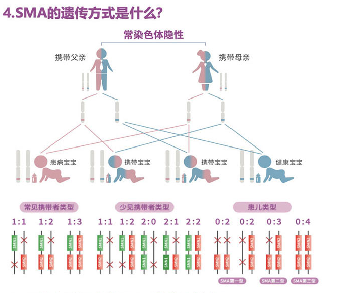 1677052116560140.png image.png