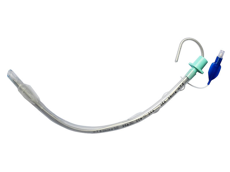 1682301649981826.jpeg 1682301649981826.jpeg