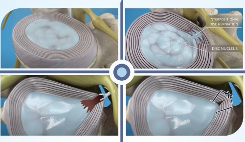 1683600600389418.png c42eed08cb6fb6e08d5e939150f3c7d.png