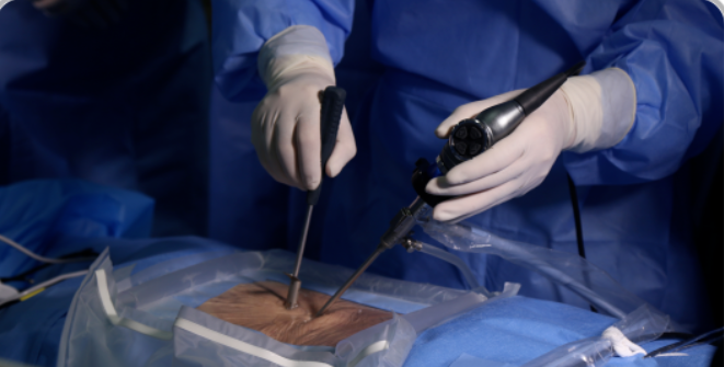 1683855911649333.png 137c9d9b8f00b2eac21210e9c61b707.png