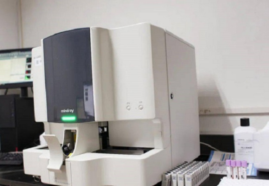 1684985968322280.jpg 1684985968322280.jpg