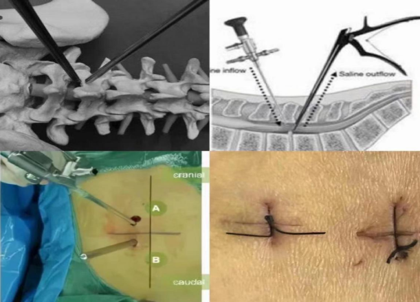 1685580147208476.png image.png