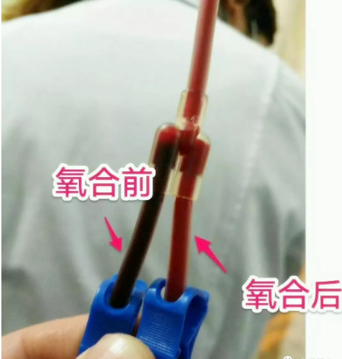 1686895258446288.png 7ed27cf807cc473e2ec7f434bf380d4.png