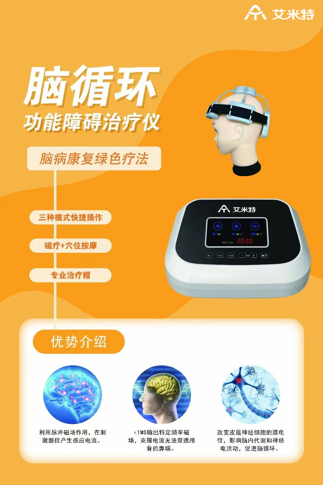 1690856496303519.jpg 腦循環(huán)小.jpg