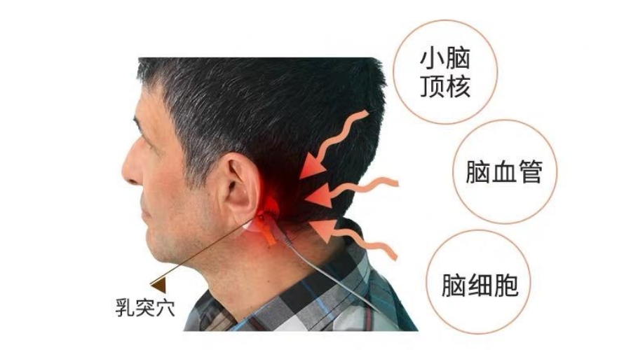 1694082286672701.jpeg 副本_副本_未命名__2023-09-07+18_19_34.jpeg