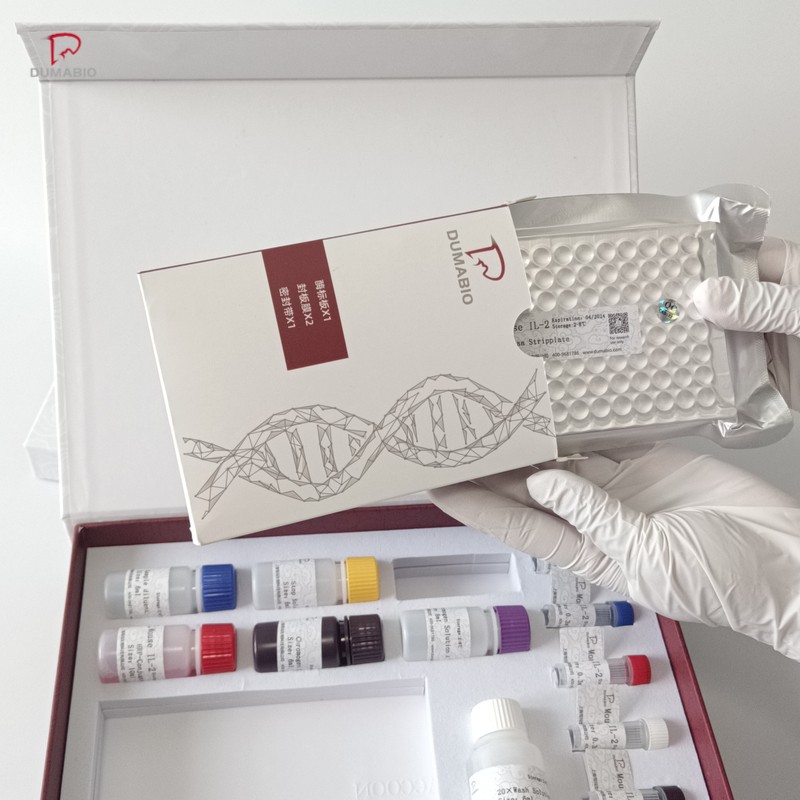 1700544269995043.jpg 1700544269995043.jpg