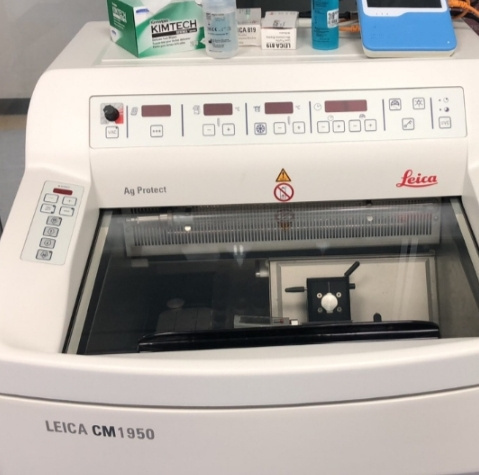 1704162732875820.jpg Leica CM1950臨床冷凍切片機.jpg