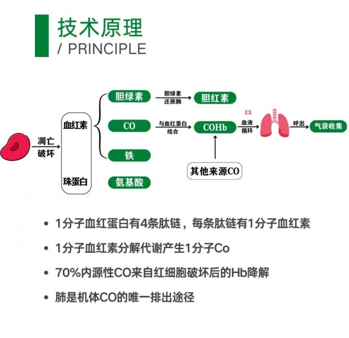 RBCS-03型紅細胞壽命測定呼氣試驗儀介紹